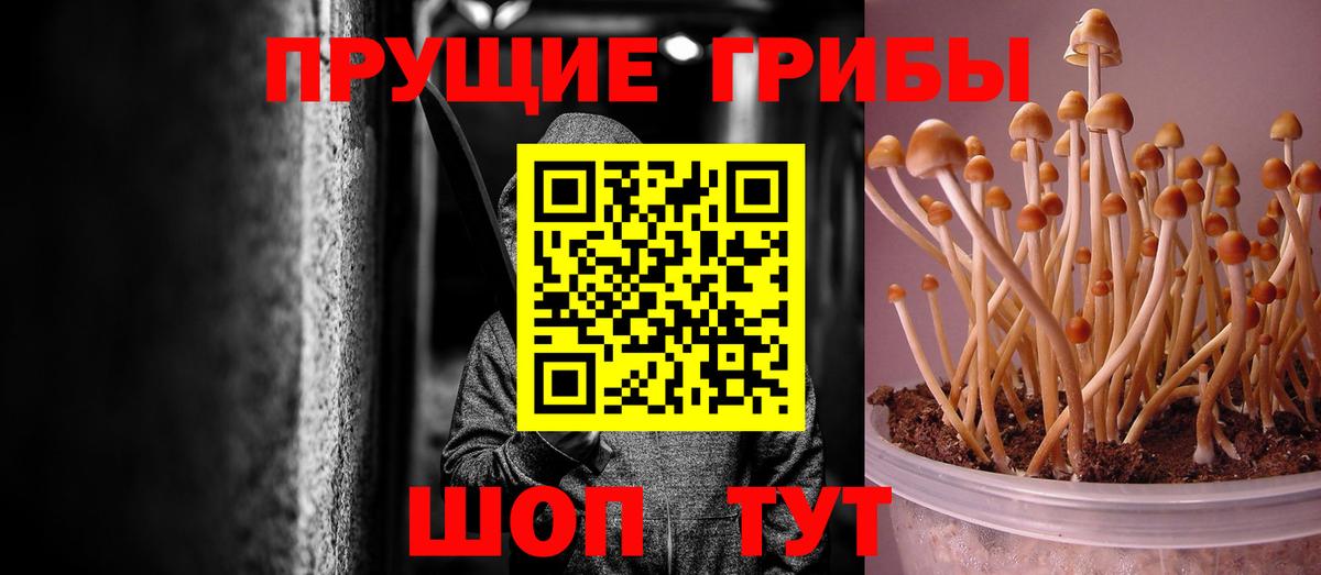 Псилоцибиновые грибы MAGIC MUSHROOMS Лесосибирск