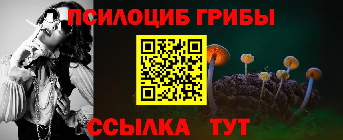 Лесосибирск  закладка  Вход с VPN  Галлюциногенные грибы мицелий 